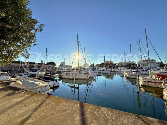 maison-roses-vente-1762440310-VM584_1_original