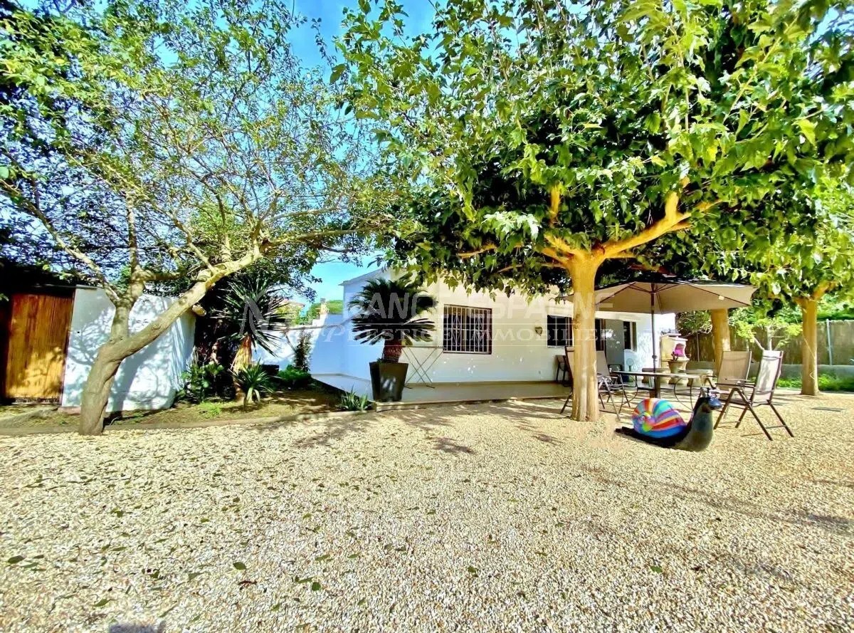 maison-villa-maison-palau-saverdera-vente-17756379271-VM752_1_original